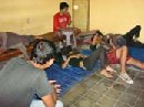 DINAS TRAMTIB DAN SATPOL PP KOTA DENPASAR SIDANGKAN 15 ORANG PELANGGAR PERDA
